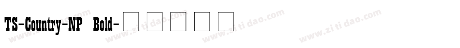 TS-Country-NP Bold字体转换